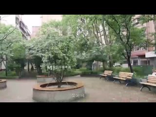 pitch fucked a chic bark right in the kitchen