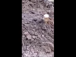 someone was lucky with his wife. | @videfunny