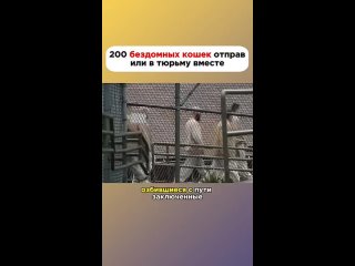 clip @videfunny | @videfunny