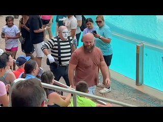 tom mime can just make your day - [eryka travel]