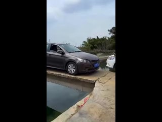 video from telegram