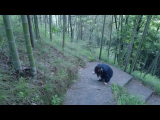6 mp4