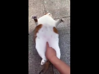 video from @videfunny | @videfunny