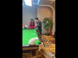 video from @videfunny | @videfunny
