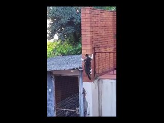 video from @videfunny | @videfunny