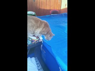 video from @videfunny | @videfunny